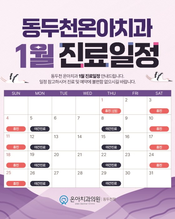 보험 스케일링 안내